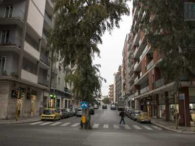 Viale Salandra poi incrocia con via Di Tullio, l� dove � presente l�ennesima stranezza di questo rione: un eucalipto che divide in due l�arteria, una sorta di spartitraffico naturale
